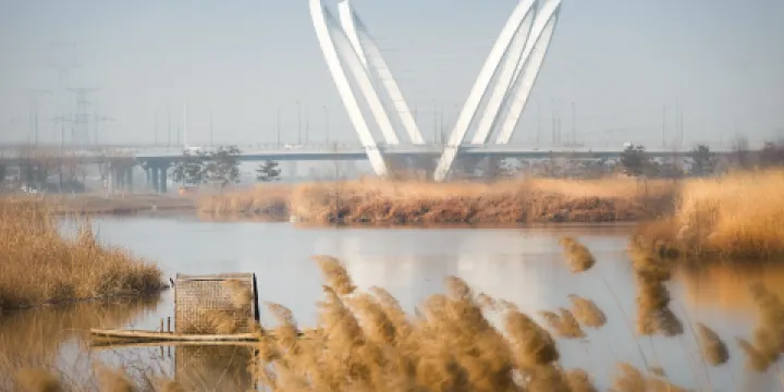 灃東·灃河生態景區