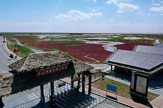 2021红海滩旅游攻略,6月红海滩游玩攻略