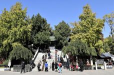 大明湖景区-济南-chenweiwen