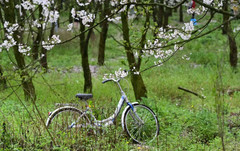 都匀游记图片] 2021年最新都匀绿博园秦汉影视城亲子情侣商务出行自驾高铁两天1晚人均500攻略