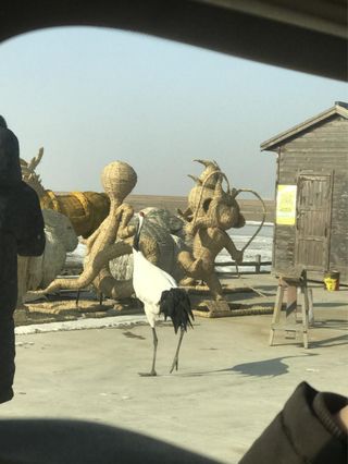 红海滩——心灵栖息之地