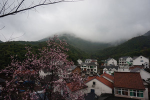 双溪竹海/径山/山沟沟游记图文-浙江杭州余杭山沟沟3日休闲游