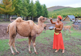 「北京—丰宁坝上」十一前后神仙谷七彩森林3日游,享秋日童话
