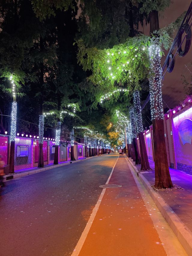 甜爱路旅行图片 1