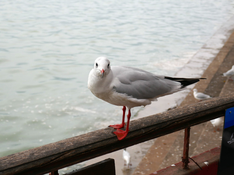 昆明旅游网