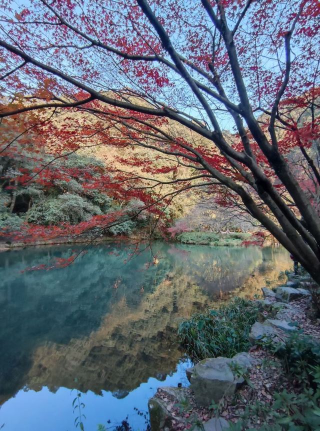 禾木观景台旅行图片 2