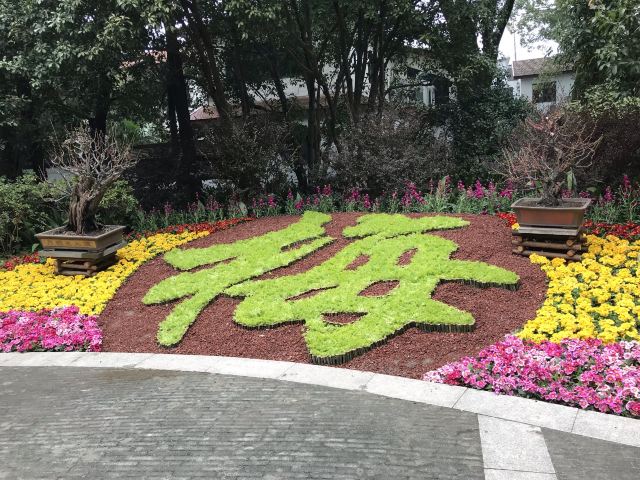 莘庄公园旅行图片 1