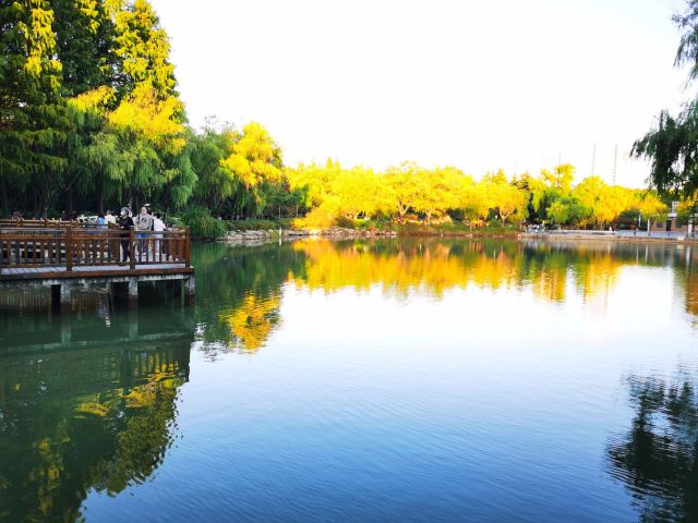 金桥公园旅行图片 3