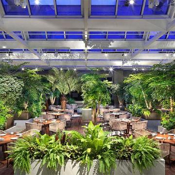 天津东凯悦酒店·悦园中餐厅