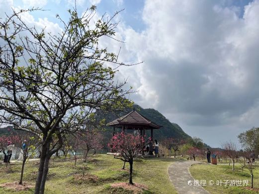 桃花岛
