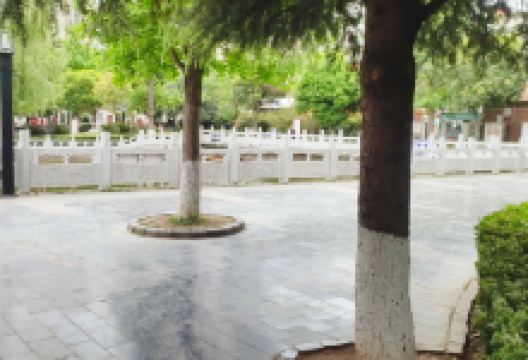 毕节市人民公园景点图片