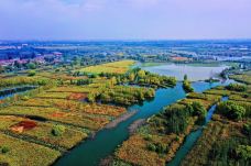 白洋淀风景区-雄县