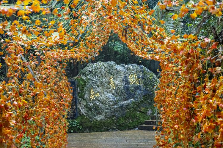 云山国家森林公园景点图片
