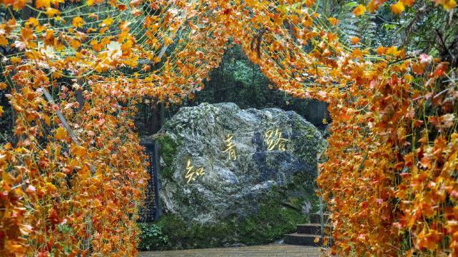 云山国家森林公园