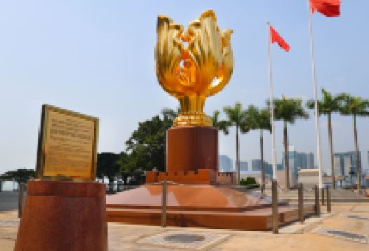 金紫荆广场景点图片