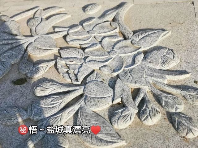 中华海棠园旅行图片 6