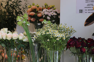 昆明融创滇池后海探店