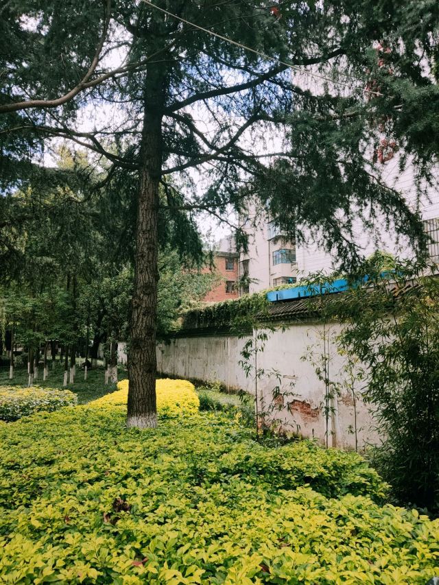 法官林旅行图片 3
