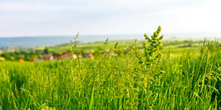 河南省白龜山水庫
