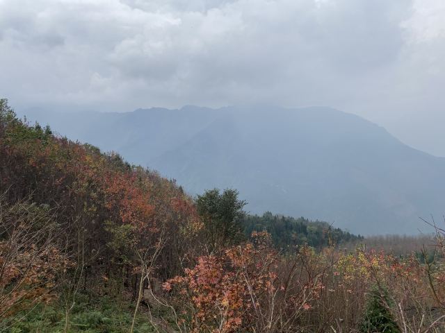 川西红枫岭旅行图片 6
