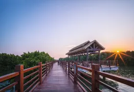 4-Day Maoming Tour: Forest Park and Yuhu Scenic Beauty, Romantic Coastal Getaway