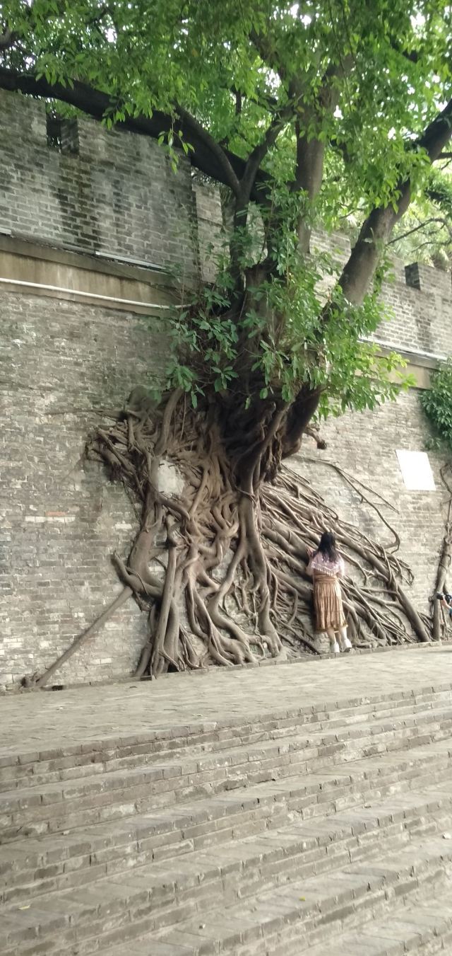 南宁古城墙旅行图片 15