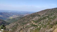 大幕山森林公园-通山-YoYo_2V7C6H1M