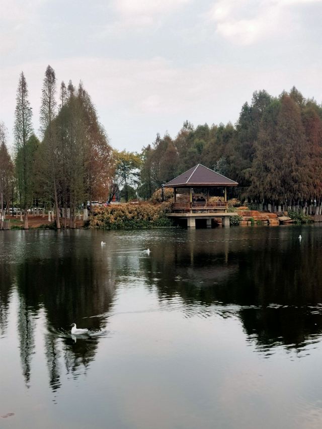 海洪湿地泼水广场旅行图片 2