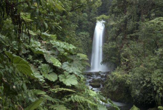 2人起订私家团德天瀑布明仕田园一日游南宁崇左百色上门接送【所选城市市区免费上门接送，方便快捷，省时省力（时间可微调）】
