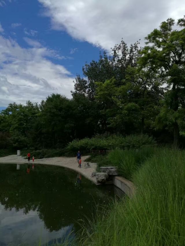 南馆公园旅行图片 8