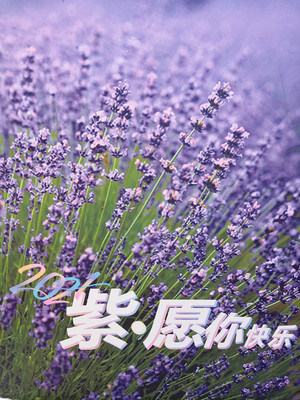 紫愿你快乐，上海薰衣草公园一日游