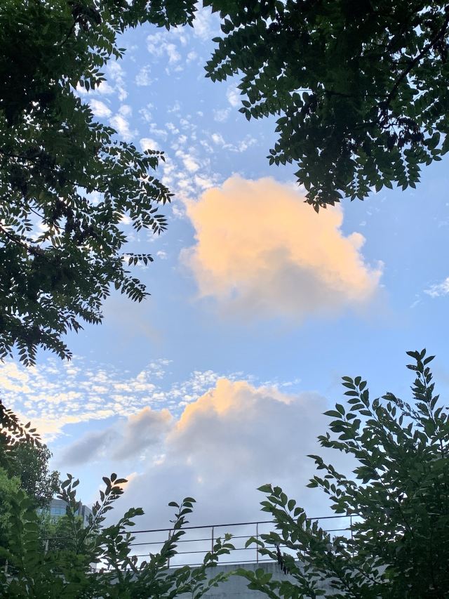 江浦公园旅行图片 11