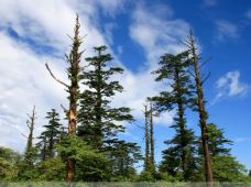 雷洞坪-峨眉山-YoYo_6O7T7E9T