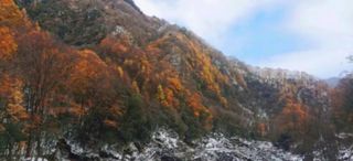 红叶将尽，冰雪已至，光雾山冬景更加梦幻！