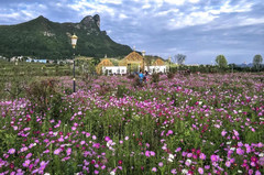 大方游记图片] 乡游黔中·大方县 店子社区 | 冬日来这，住进温暖蒙古包，畅享草原风情！