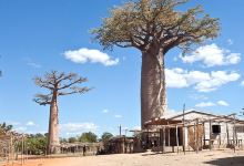 科灵迪自然保护区景点图片