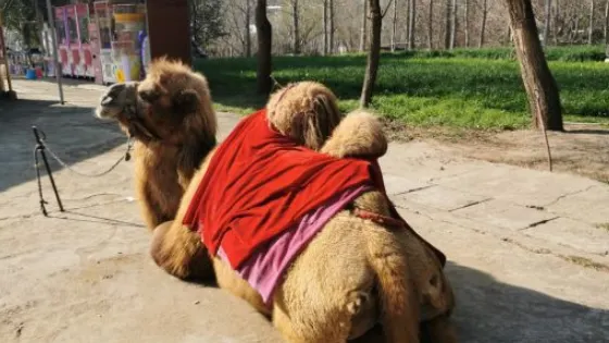 袁家山動物園