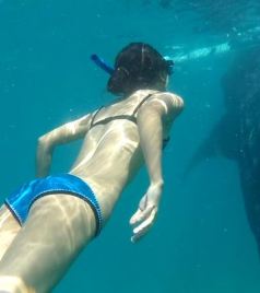 奥斯洛布游记图文-遇见鲸鲨丨你居然不知道杜马盖地有这么多好玩的！