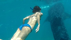 马尼拉游记图文-遇见鲸鲨丨你居然不知道杜马盖地有这么多好玩的！