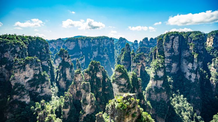 5-day  · Private Tour · Chongqing + Zhangjiajie + Zhangjiajie Grand Canyon + Tianmen Mountain National Forest Park + Zhangjiajie National Forest Park