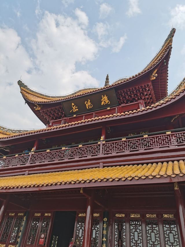 东洞庭湖国家级自然保护区旅行图片 1