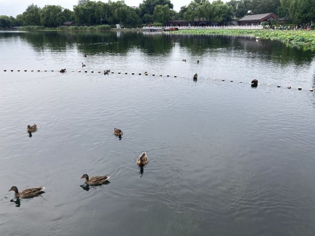 西海旅行图片 4