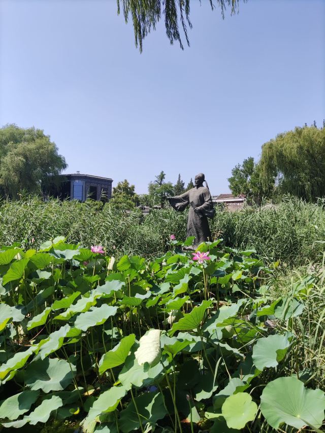 西海旅行图片 6