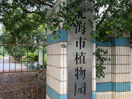 北海市植物园