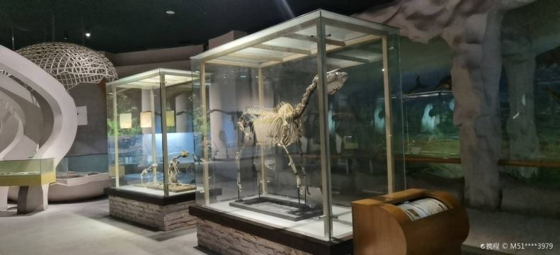 Gallery 1
