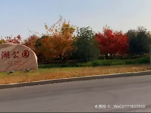 九龙湖公园