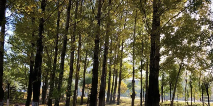 黑山灣濕地公園