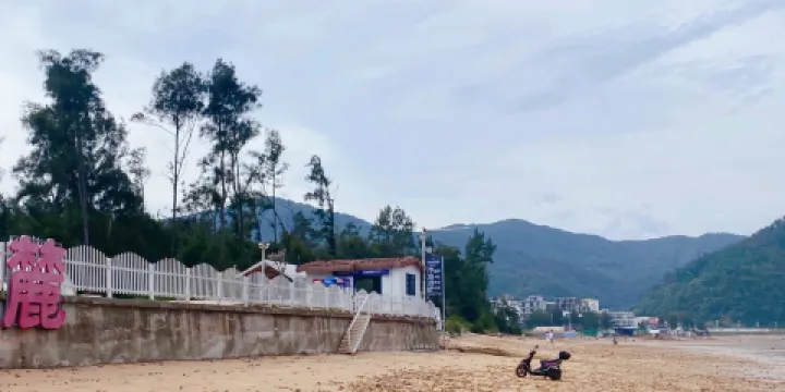 高羅沙灘國家特殊保護林帶