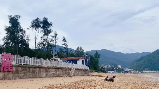 高羅沙灘國家特殊保護林帶