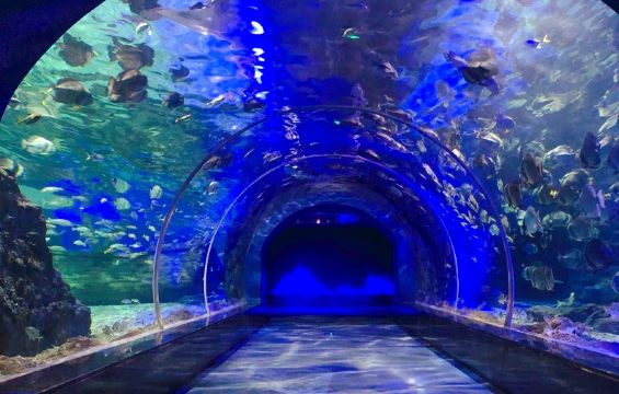 遵义冰雪海洋世界